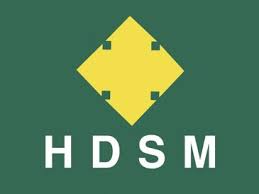 PT HYUNDAESIKMO GLOBAL INDONESIA